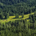 Mein Kraftplatz - Panoramablick Und Freiraum Auf 150qm Fuer Bis Zu 8 Personen Έρβαλντ