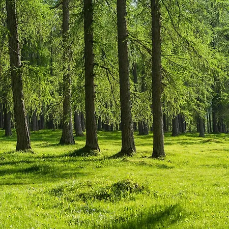 Mein Kraftplatz - Panoramablick Und Freiraum Auf 120qm Fuer Bis Zu 6 Personen Apartmán Ehrwald